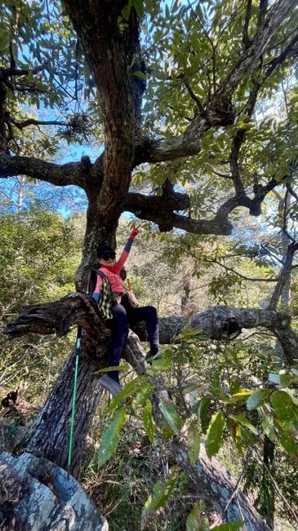 【谷關七雄】波津加(H1771.6m)肉腳配速成功2670563