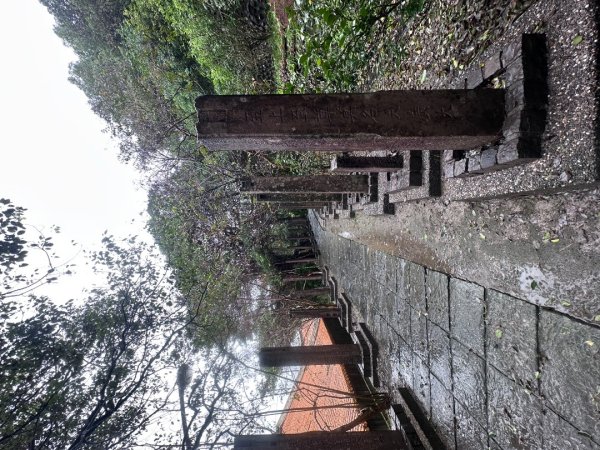 2024草嶺古道芒花季草嶺古道2644803