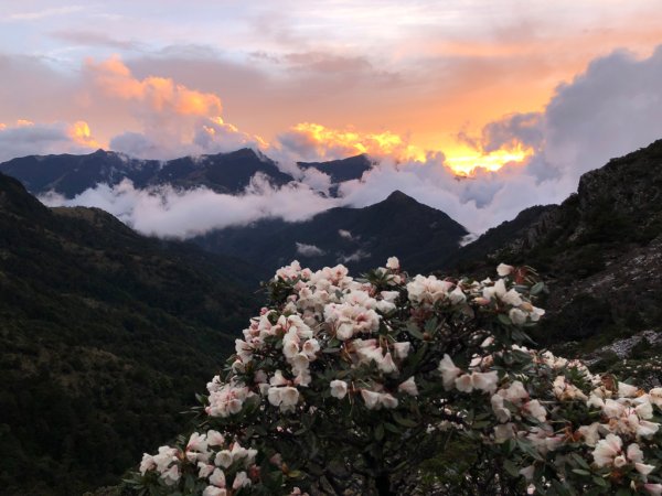 202505八大秀2874046