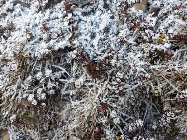 雪山北峰1086047