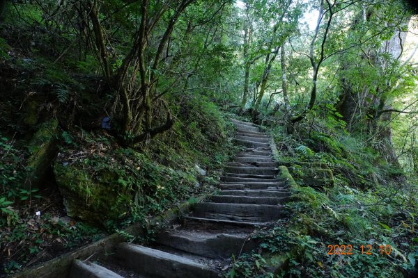 高雄 桃源 庫哈諾辛山1947283