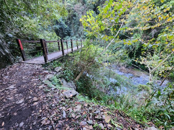 20241124布奴加里山2679109