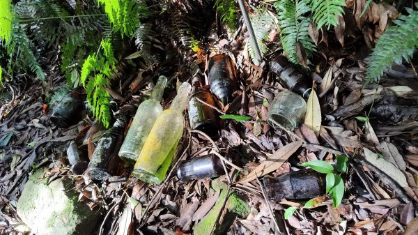 2025/7/12、7/13 西巒大山2839175