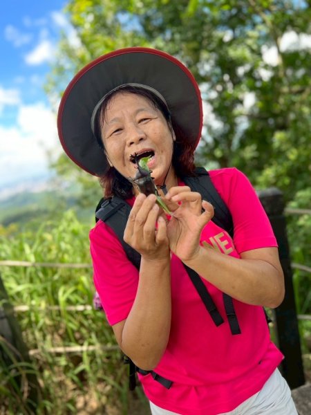 大坑1號和2號步道2826391