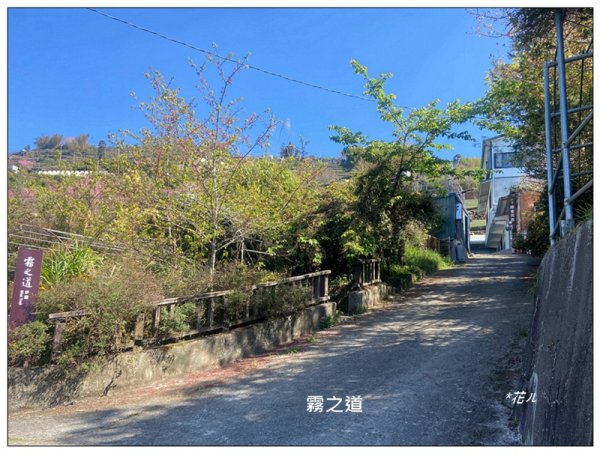 頂石棹步道群、樂野山、霹靂山 d型路線2749152
