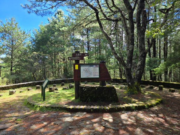 塔塔加步道（大鐵杉登山步道）2883096