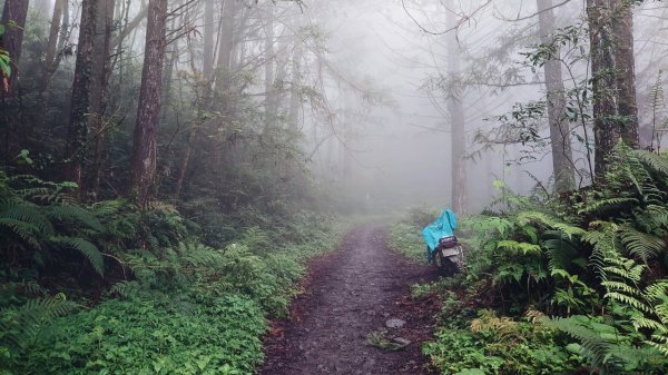 加羅湖山徑950892