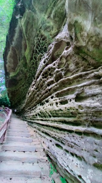 雲潭瀑布步道/青年嶺步道/燕子崖/蝙蝠洞/野薑花溪步道/綠色隧道 環狀1779299