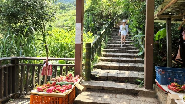 石門青山瀑布（尖山湖瀑布），石門麟山鼻岬角步道，北投中正山，泰山尖凍山，五股水碓景觀公園步道1846270