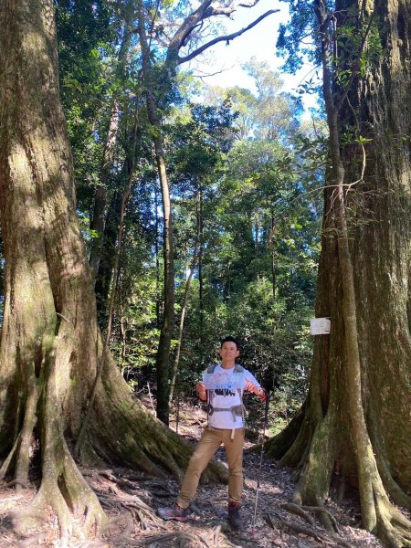 長壽山-醜崠山-鳶嘴山【既優雅又狂野的另類選擇】2673980