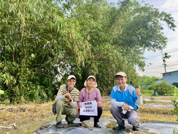 竹山基石巡禮  2024.8.272583077