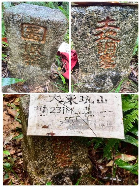 關西大東坑山/草長難過  順訪東安古橋2930518