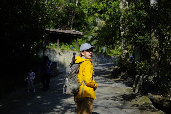 聚興山 新田登山步道2670662