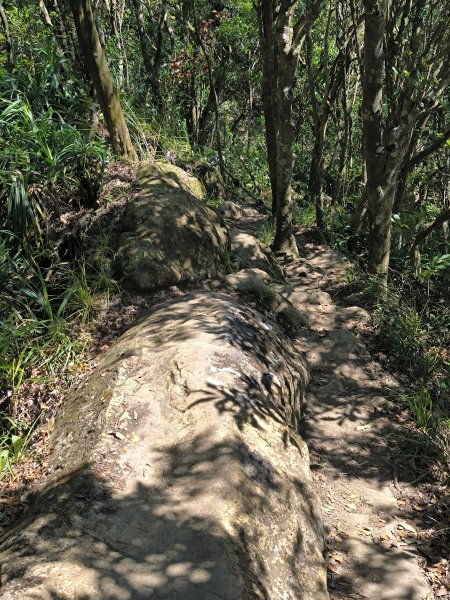 20251004微笑山線：【二格山系】筆架連峰段2904522