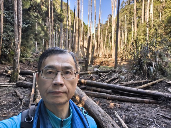 金柑樹、嶺頭山、忘憂森林2956111