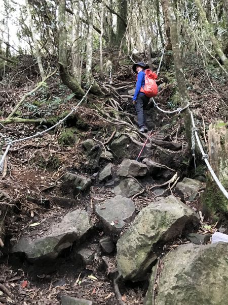 登橫嶺山環走自然步道118227