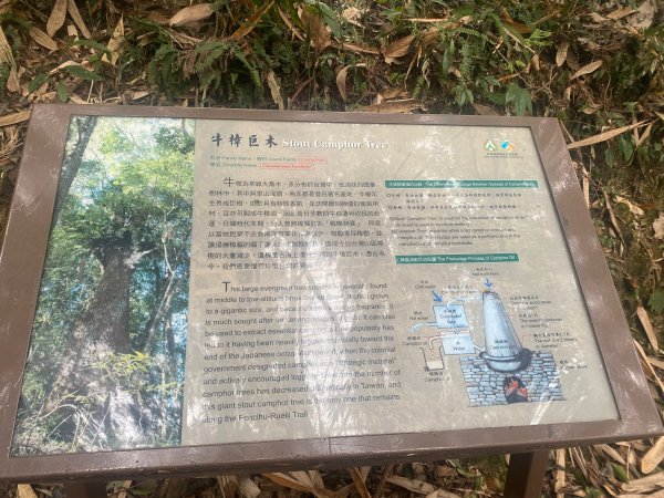 1120329奮瑞古道2643554