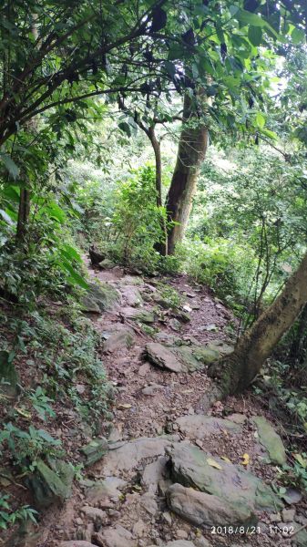 1070821笠頂山三號步道391543