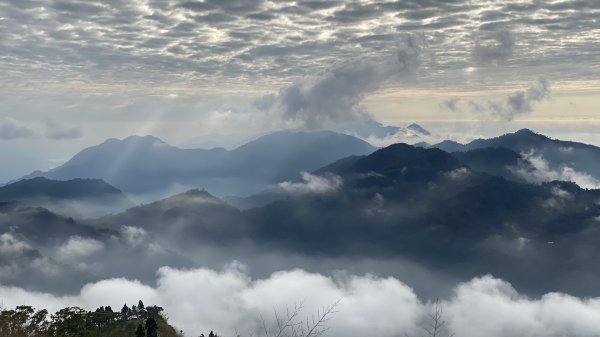 20250119二延平步道2716357