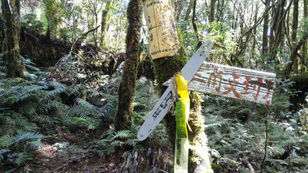 魔幻森林_塔曼山201710091962676