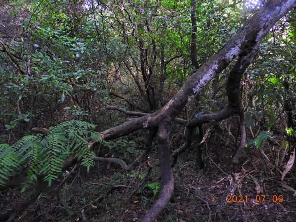 基隆 七堵 仙洞湖山1422575