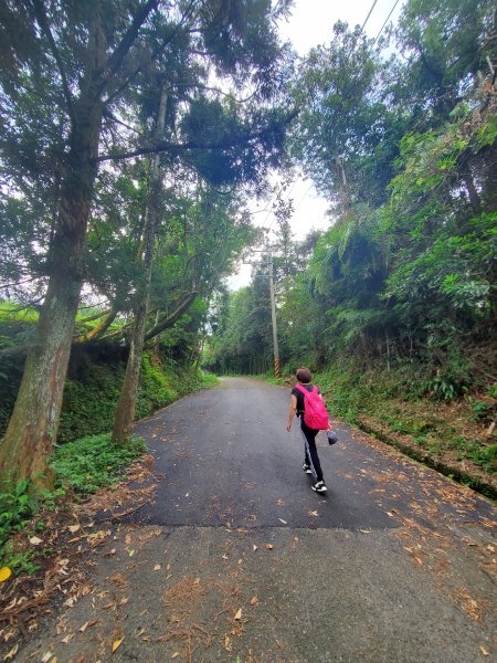 【南投|貓囒山】1049762