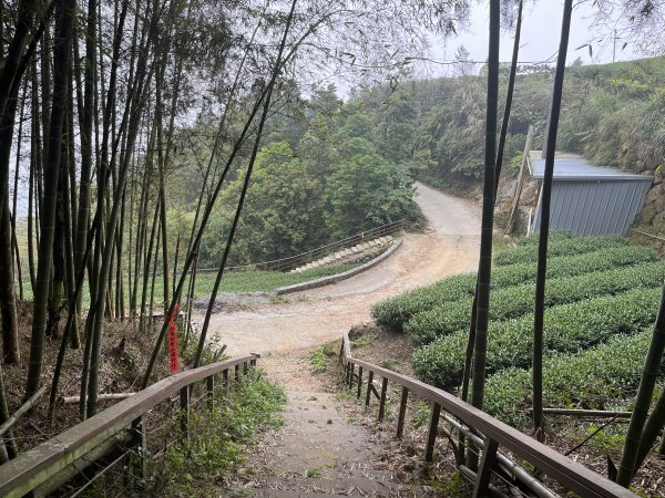 2023_0429_挑筍古道2138267