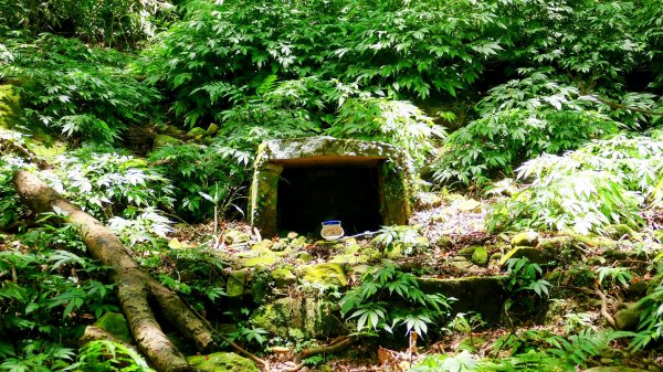 溪和宮,大尖山,擎天崗2823018
