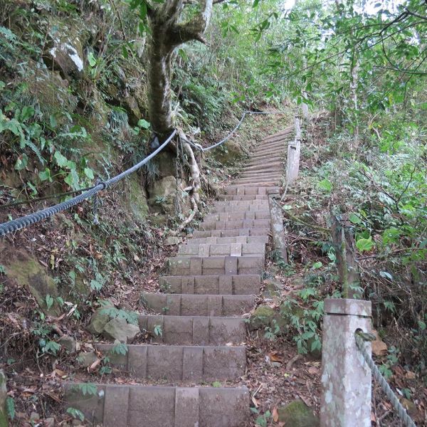 馬那邦山(珠湖線來回)375058