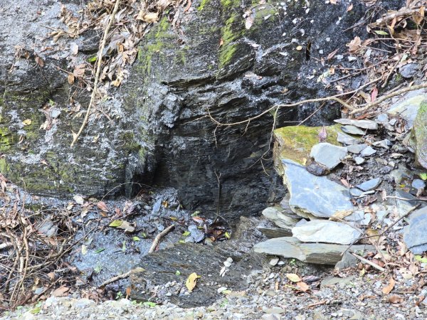 卓社大山〔武界栗栖溪登山口起登〕2748379