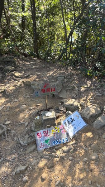 2025-11-30 飛鳳山 走來回2952655