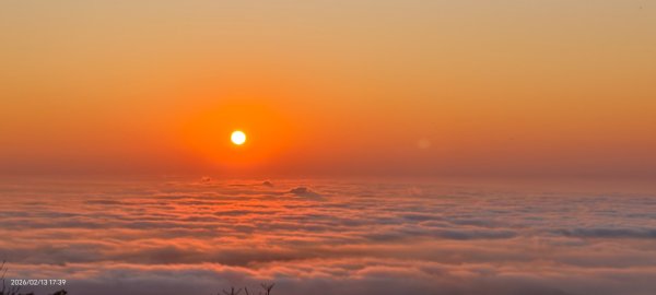 #觀音山 #雲海 #夕陽 #天空之城 #大赤鼯鼠（飛鼠） 2/13封面