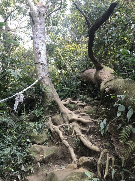 悠遊溪洲山~頭寮山1279934
