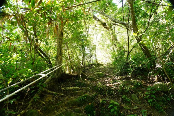 宜蘭 南澳 御恩山2892664