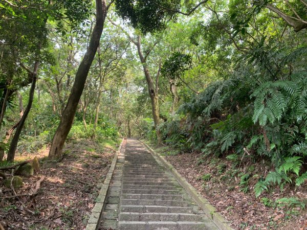 大崙頭尾山親山步道2767172