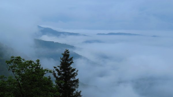 太平山周圍封面