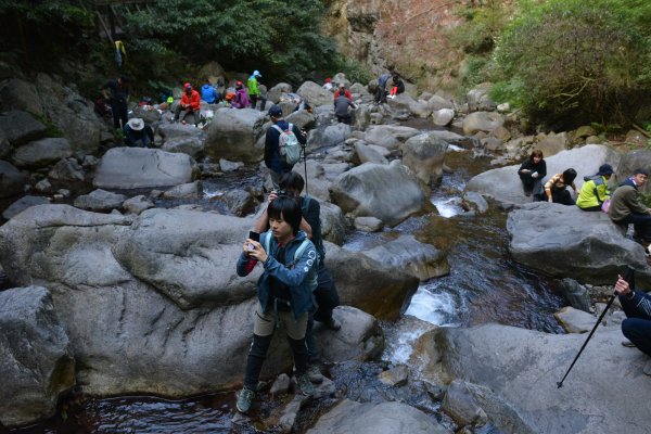 唐麻丹山。蝴蝶谷健行1239409