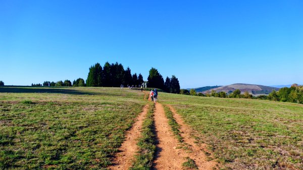 西班牙朝聖法國之路115KM, Day83126242