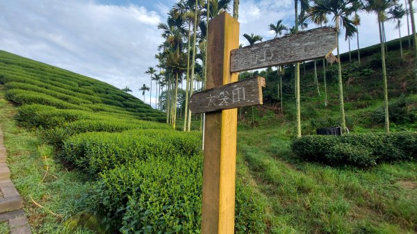 雲嘉九連峰1438909