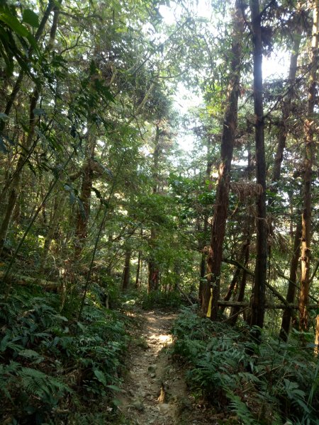 關仔嶺之雞凍九O型(雞籠山大凍山九龍山)1867736