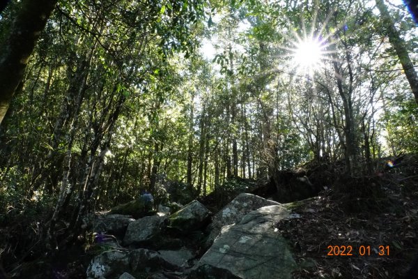 臺中 和平 稍來山1597385