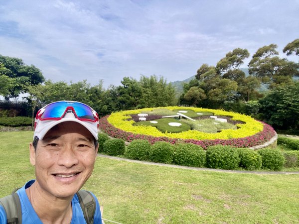 《陽明山的山林片刻｜沿著青春嶺路走向山野的綠意》2939228