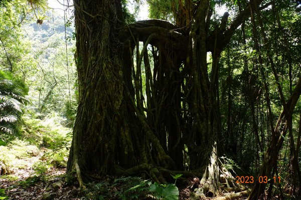 花蓮 豐濱 八里灣山(貓公山、吉拉雅山)2066418