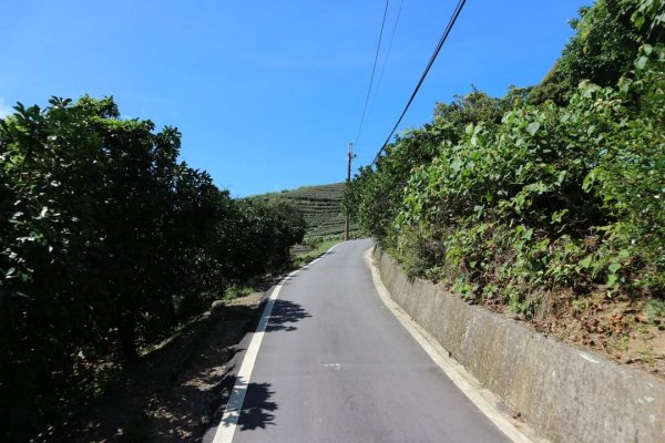 〔石碇〕鱷魚島🐊🐊🐊，晴空萬里下的萌萌淡碇鱷   最美。石碇 千島湖 土虱頭  永安景觀步道2213315