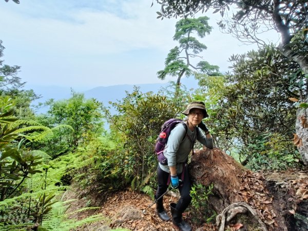 1130511夫拉縱走2500143