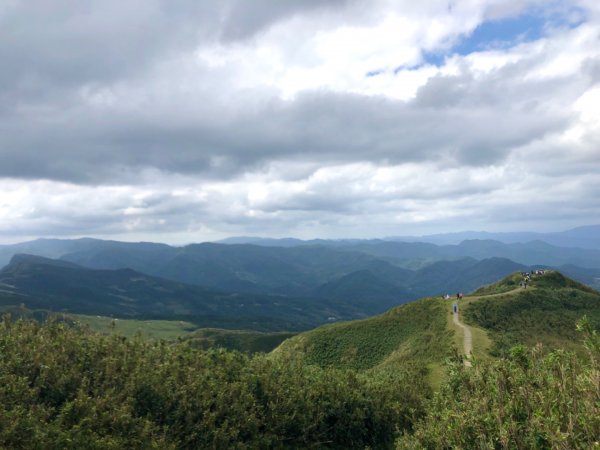 桃源谷秋芒四射草嶺731060