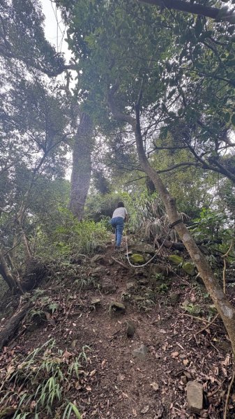 三腳南山2799557