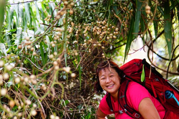三腳南山、難山傻傻分不清楚1241051
