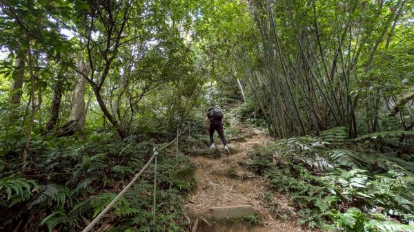 五寮尖山步道3060897