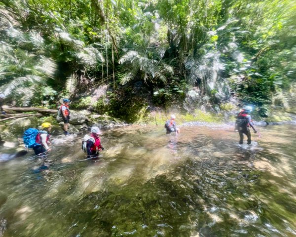 坪林-碧湖溪-蛋糕瀑布群（溯溪）2820876